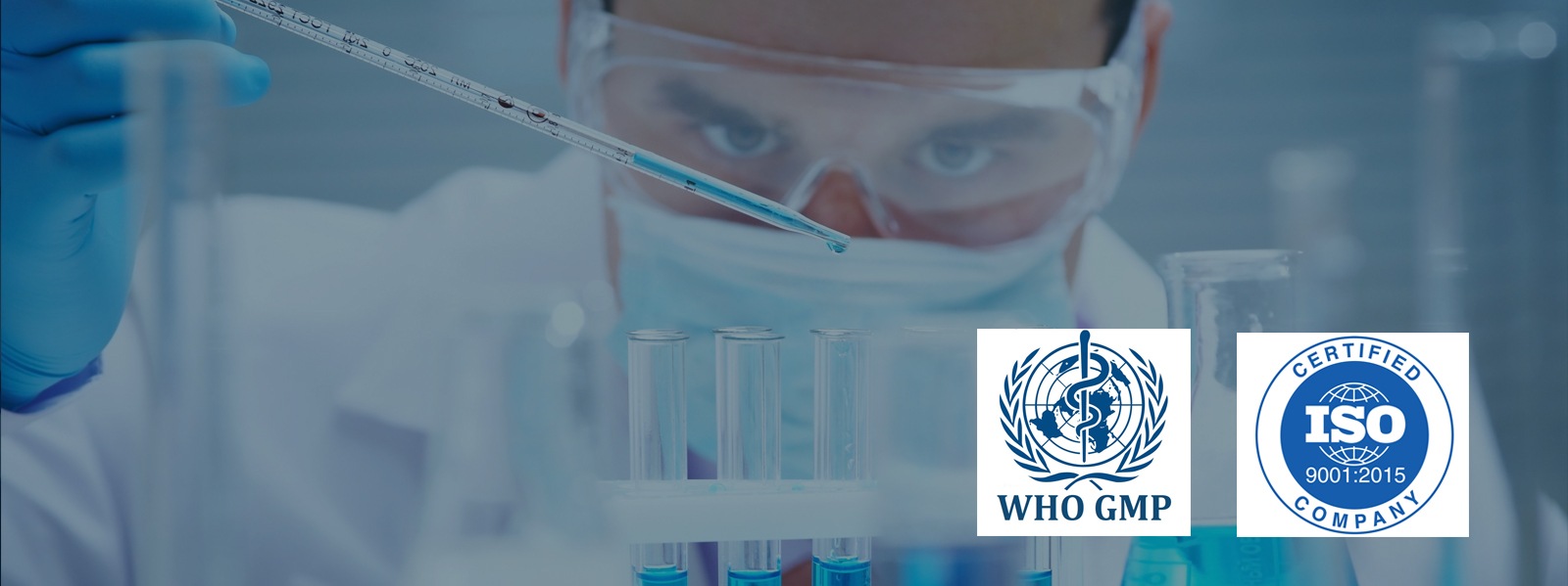 Pharma Marketing & Pharma PCD company